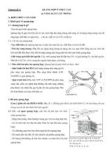 Đề cương Sinh học Lớp 11 - Chuyên đề 3 Quang hợp ở thực vật và năng suất cây trồng